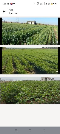 વાડી વેચવાની છે