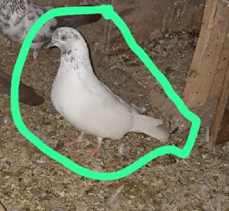 थंबनेल 2