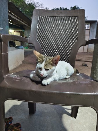 थंबनेल 3