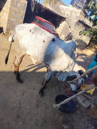 थंबनेल 3