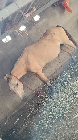 थंबनेल 2