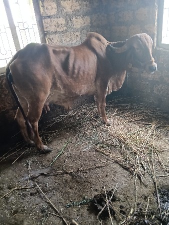 थंबनेल 2