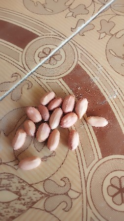 39 નબર માડવી