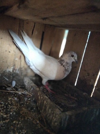 थंबनेल 2