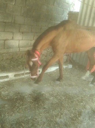 थंबनेल 2