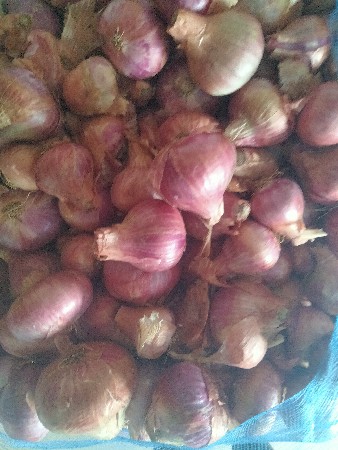 थंबनेल 2