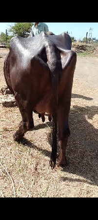 थंबनेल 3