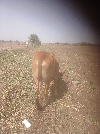 थंबनेल 3