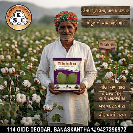 કર્મભૂમિ સિડ્સ કપાસ બિયારણ