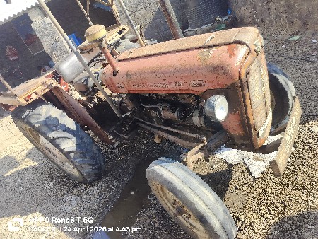 મેસી standar