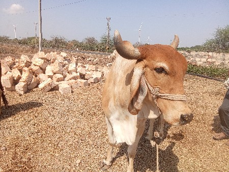 थंबनेल 3