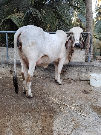 થંબનેલ 3