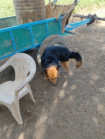 थंबनेल 2