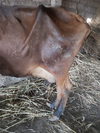 થંબનેલ 3