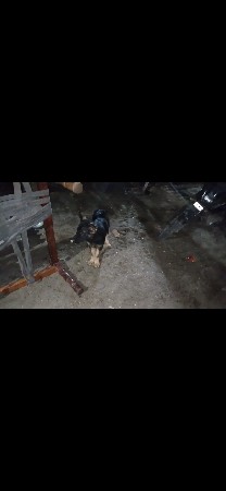 थंबनेल 3