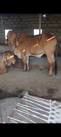 थंबनेल 3