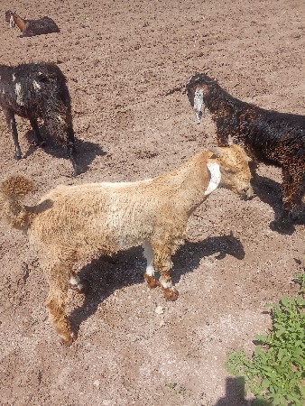 थंबनेल 2