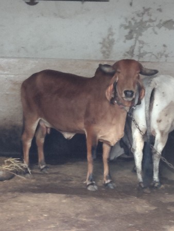 થંબનેલ 2