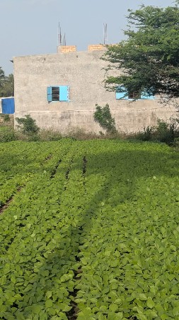 જમીન વેચવાની છે રોડ ટચ નેશનલ હાઈવે