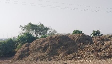 માંડવિનૉ ભુકૉ