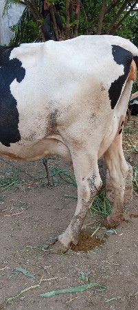 थंबनेल 2