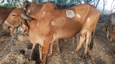 थंबनेल 3