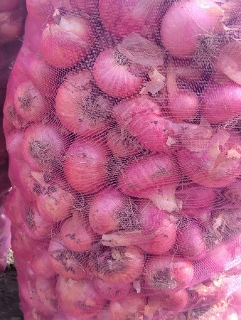 પીડી પતી ડુંગરી છે