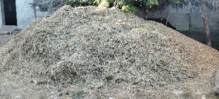 બાજરાના ચારાનો ભૂકો વેચવાનો છે