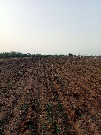 ખેતીની જમીન વેચવાની છે