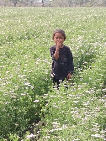મનોજભાઈ.નાનીમાટલી