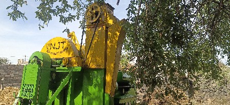 વેચવાની છે