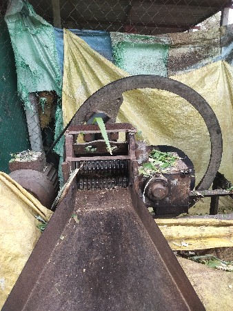 कुट्टी मशीन विकणे आहे