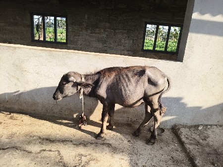 थंबनेल 3