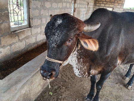 थंबनेल 2