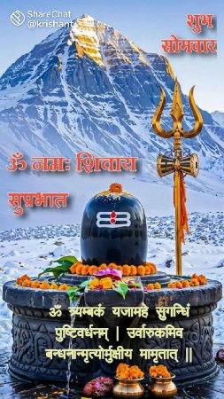 ખડેલા લેવાસે