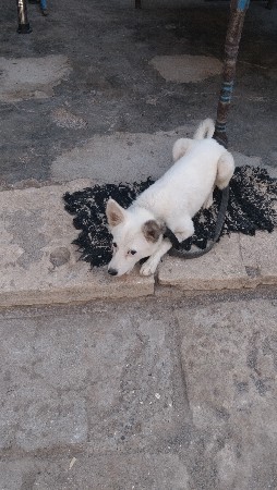 થંબનેલ 3