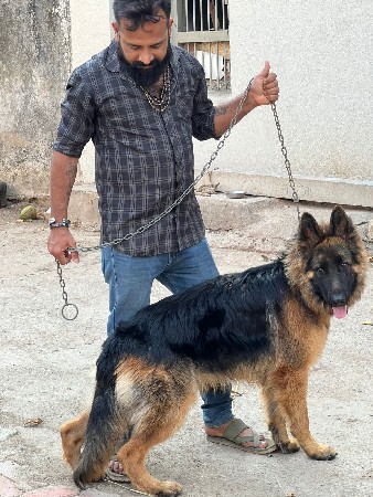 થંબનેલ 3