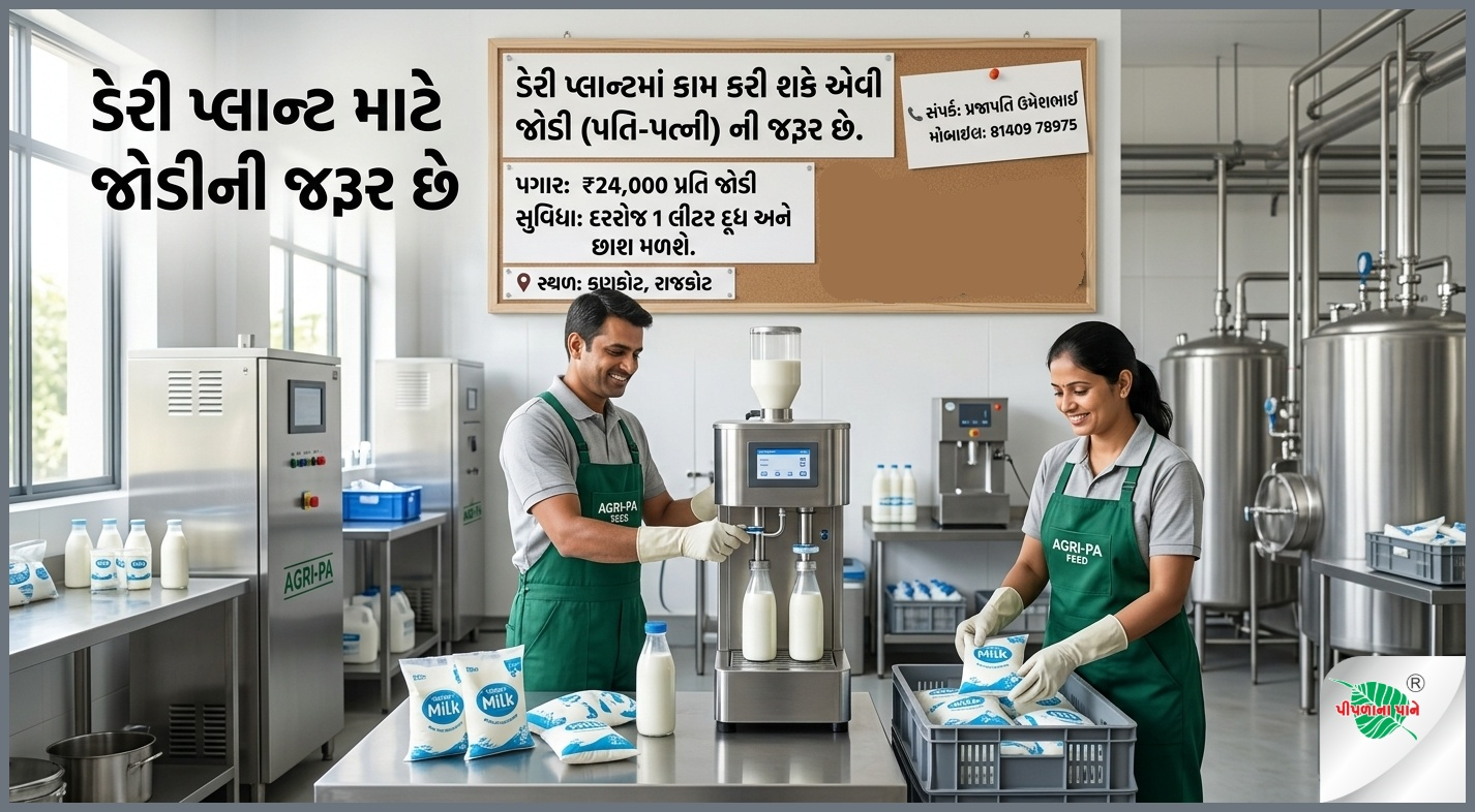 ડેરી પ્લાન્ટ માટે માણસોની જરૂર છે.