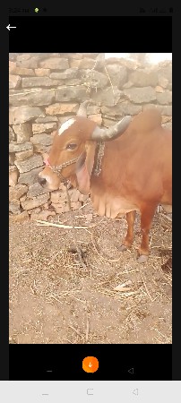 थंबनेल 2