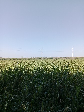 થંબનેલ 3