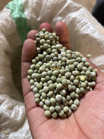 સુકા વટાણા