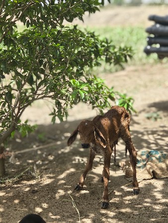 थंबनेल 3