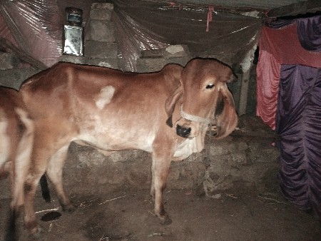 थंबनेल 3