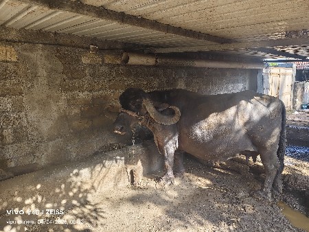 थंबनेल 3