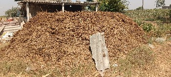 છાણીયું ખાતર