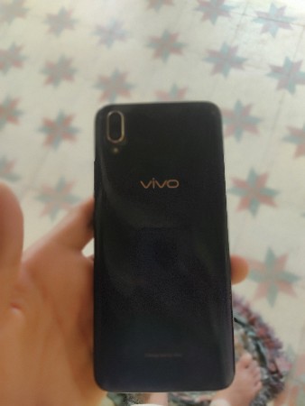 vivo