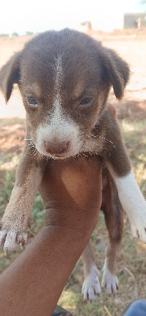 થંબનેલ 3