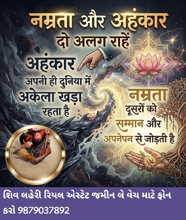 थंबनेल 6