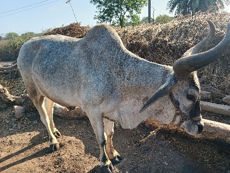 थंबनेल 2