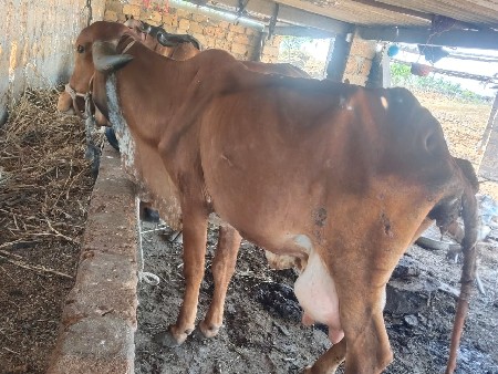 थंबनेल 2